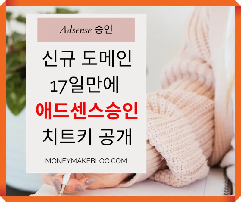 17일 만에 신규 도메인 애드센스 승인